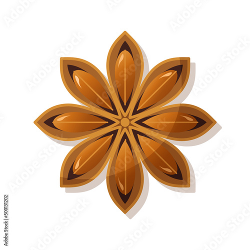 Isolated star anise on white background. Culinary ingredient for baking and drinks, oriental spice badian, popular spice. Top view. Stock vector illustration in flat style.