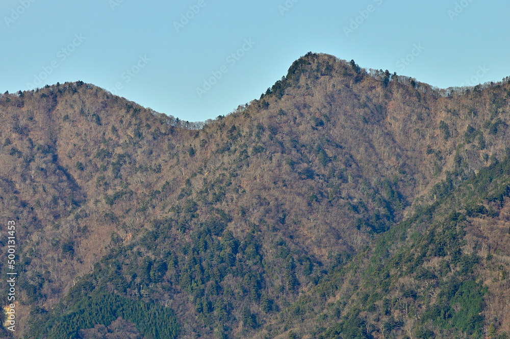 Obraz premium 丹沢の大山三峰山より丹沢三峰を望む 丹沢 大山三峰山 路肩崩落②より左から丹沢三峰（西峰（太礼ノ頭）、中峰（円山木ノ頭）） 