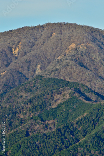 丹沢の大山三峰山より日本百名山の丹沢山を望む  © Green Cap 55