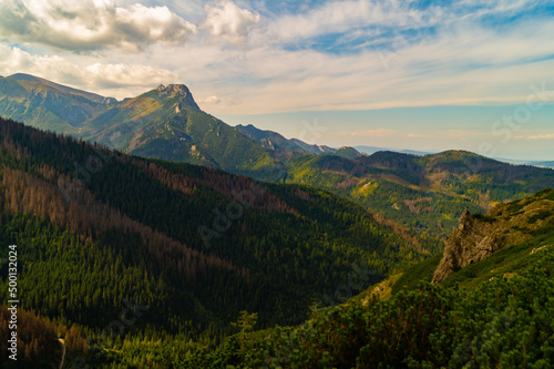 Fototapeta Naklejka Na Ścianę i Meble -  Giewont, Tatry, Zakopane, Polska