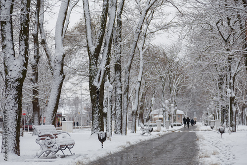 Beautiful winter landscape, trees and bench in park covered with snow. Unrecognizable people on background