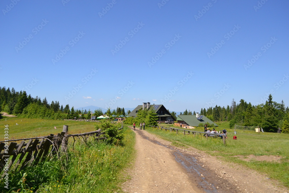 Obraz premium Gorce, góry, szlak na Turbacz, wiosna, 