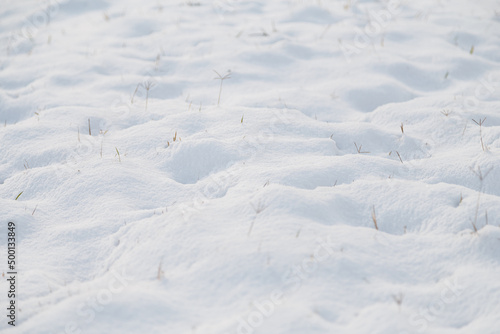 beautiful white pure snow texture background, winter precipitation © elenaseiryk