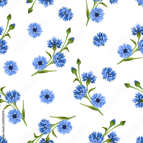 Vector seamless floral pattern with blue cornflowers on a white background