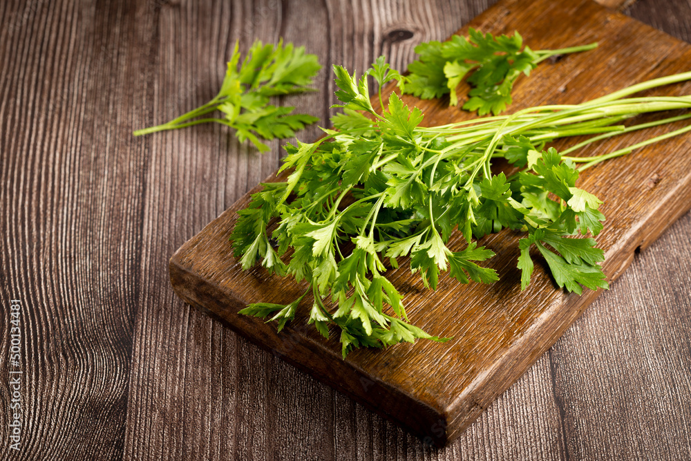Fresh italian parsley on the table. Green parsley. Fresh italian parsley on the table. Green parsley.