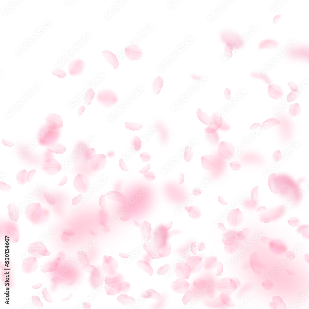 Sakura petals falling down. Romantic pink flowers gradient. Flying petals on white square background. Love, romance concept. Creative wedding invitation.