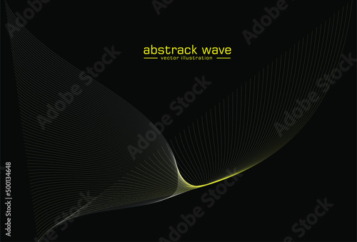 black and white background.  luxury backgroud in the wold. busines, background, banner, icon ilustration