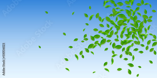 Falling green leaves. Fresh tea chaotic leaves fly © Begin Again