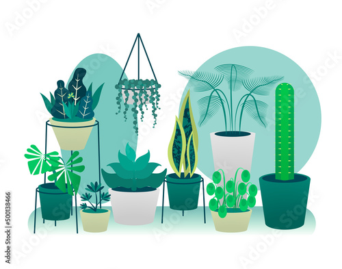 Vectores de plantas. Ilustración de plantas de interior.