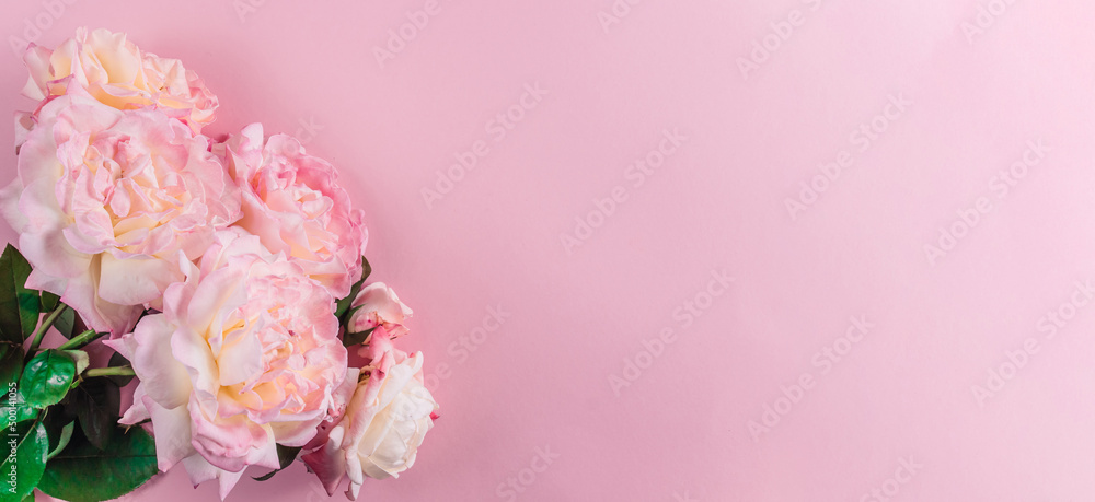 Pink rose flower on pastel pink background. Top view with copy space.