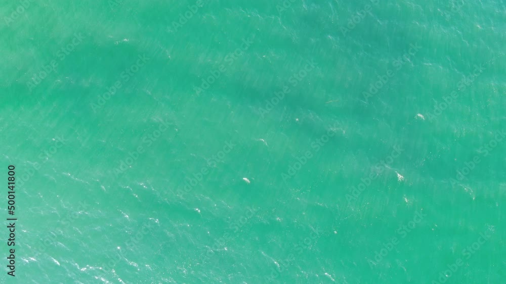 South Pacific Ocean Tranquil Emerald Green Waves Aerial Shot Bird's Eye View Back South Pacific Ocean Tranquil Emerald Green Waves Aerial Shot Bird's Eye View Back