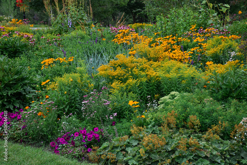 Mixed annual perennial border garden bed