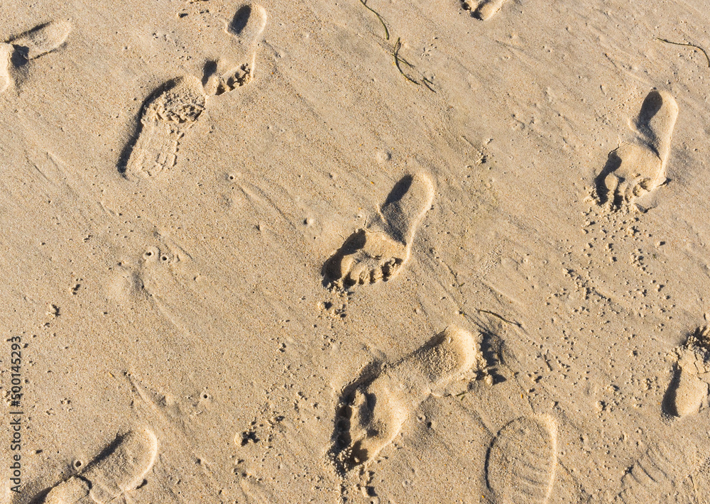 Footprints in the sand going all directions, barefoot and with shoes ...