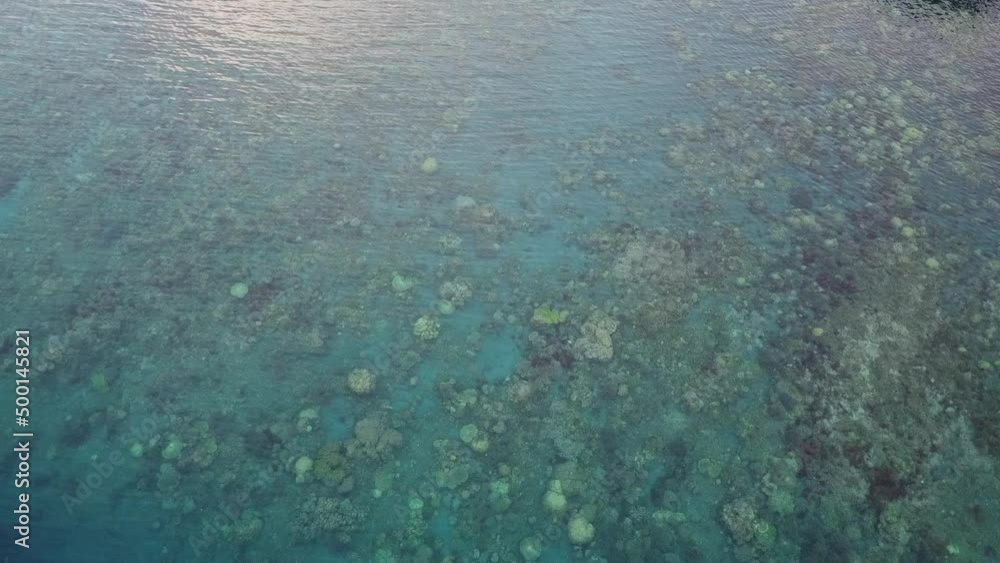 Tropical Island Crystal Clear White Sand Beach Coral Reef in Halmahera North Maluku Indonesia Tropical Island Crystal Clear White Sand Beach Coral Reef in Halmahera North Maluku Indonesia