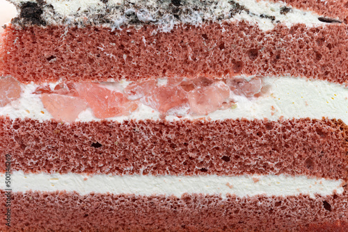 Cuadro en lienzo section of a multilayer cake as background and texture