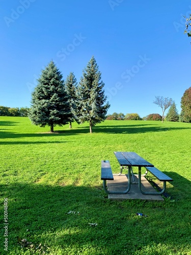 Green grass and a picnic table on a summer day in Chicago