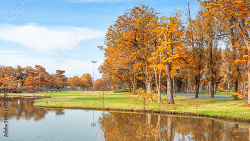 lake and tree in garden in public park during autumn and fall season