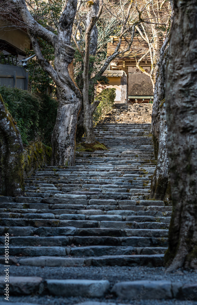 jakouin temple in ohra village,kyoto japan jakouin temple in ohra village,kyoto japan