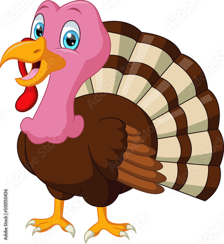 Happy turkey bird cartoon on white background