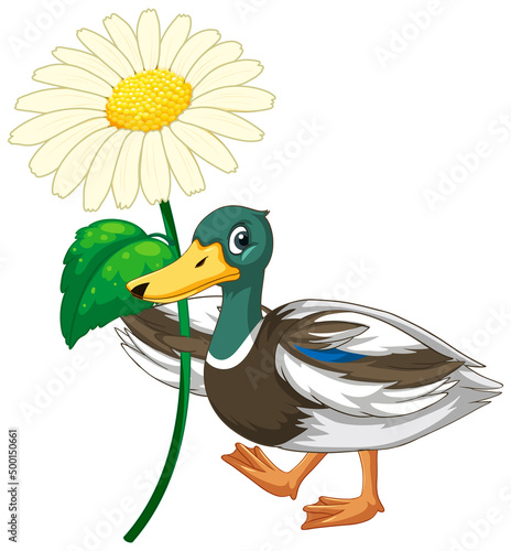 Duck with green head cartoon character