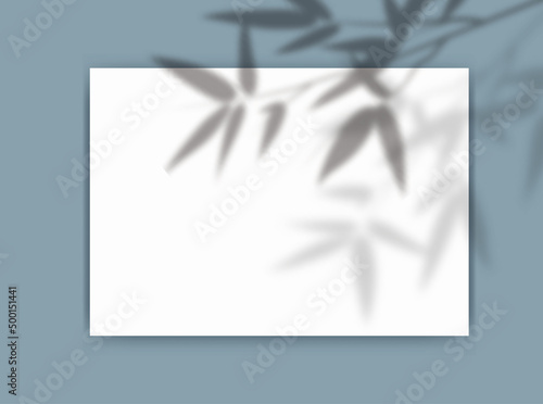 A4 paper mockup with overlay leaf shadow from window. Bamboo branch transparent reflection on blue background. Realistic vector template for poster, flyer and post.