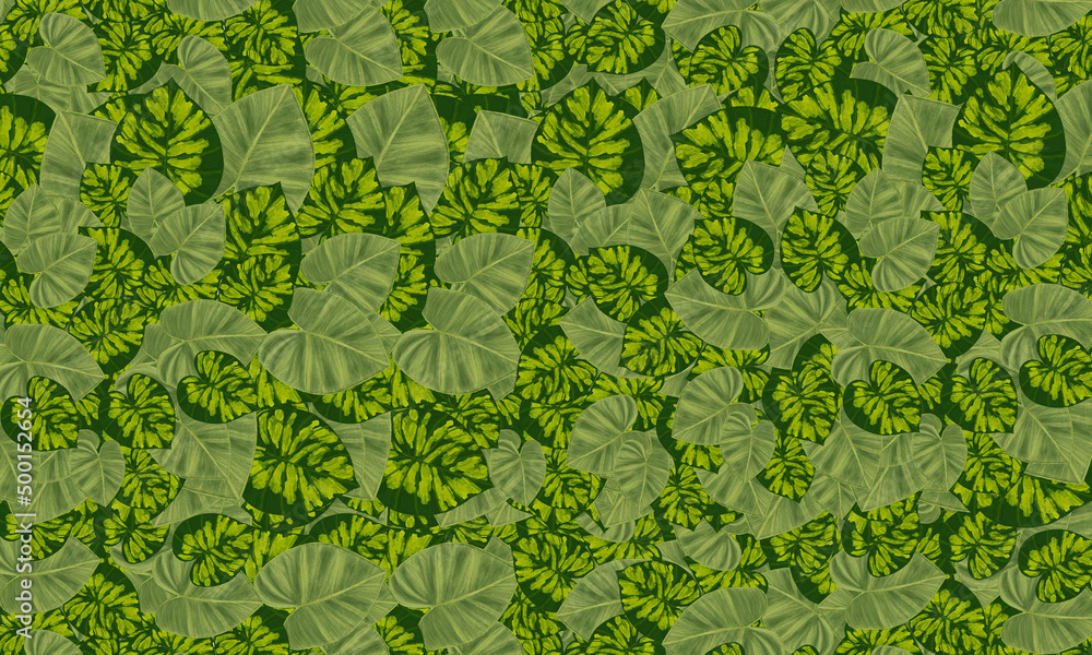 green Tropical leaves hand drawn pattern ,wallpaper nature background design green Tropical leaves hand drawn pattern ,wallpaper nature background design