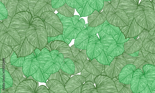 green tropical leaves spring pattern ,hand drawn illustration wallpaper background
