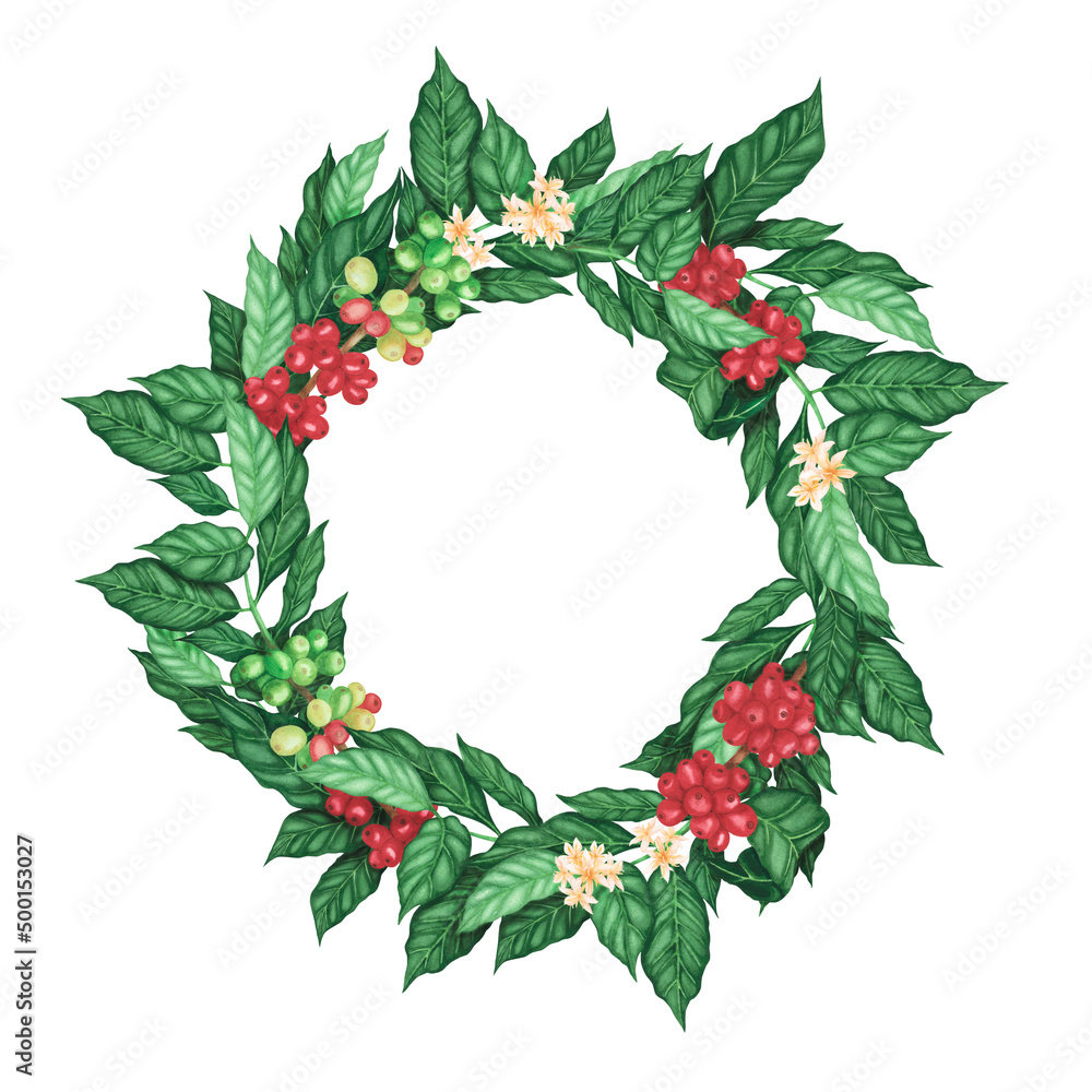Fototapeta premium Wreath coffee arabica beans on branch isolated on white background. Watercolor hand drawn frame. Illustration for design