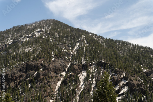 Colorado Mountain and Trees