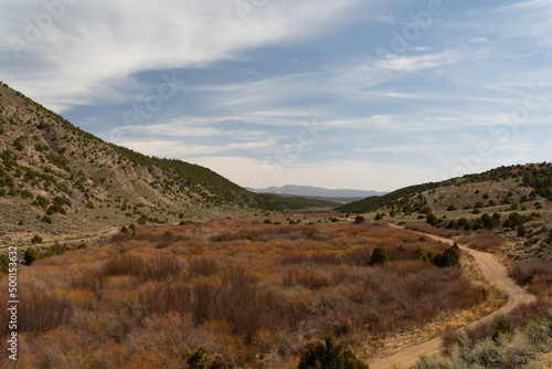 Landscape on the Mountains Colorful