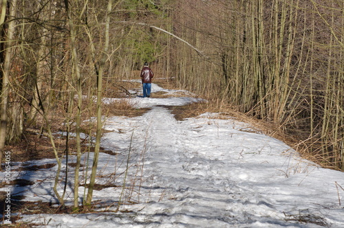 A man walks along a forest path. April. Moscow region