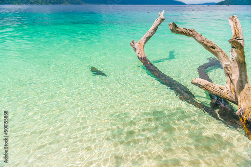 Beach and sea view on Lipe island  Satun Province  Thailand  andaman sea where you can watch the sunrise and sunset on the same beach.