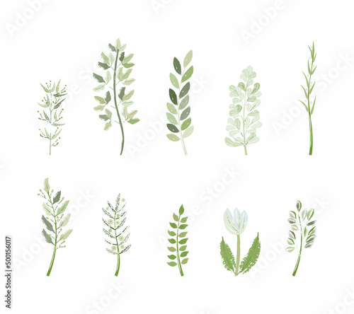 green floral branch isolated vector set