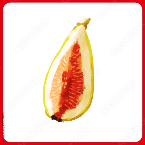 手描き水彩厚塗りのくし形切りいちじくイラスト