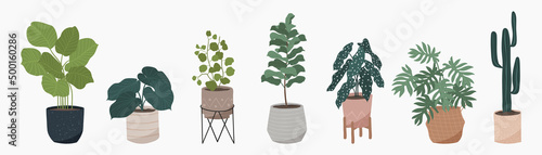 Potted plants collection on white background. Set of interior house plants with baskets, flower pot, monstera, leaves and foliage. Different home indoor green decor illustration for decoration, art.