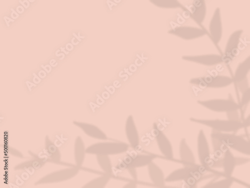 植物の影が映るピンク色の背景