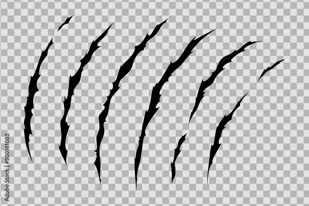 Claw scratches of wild animal. Cat scratches marks isolated in