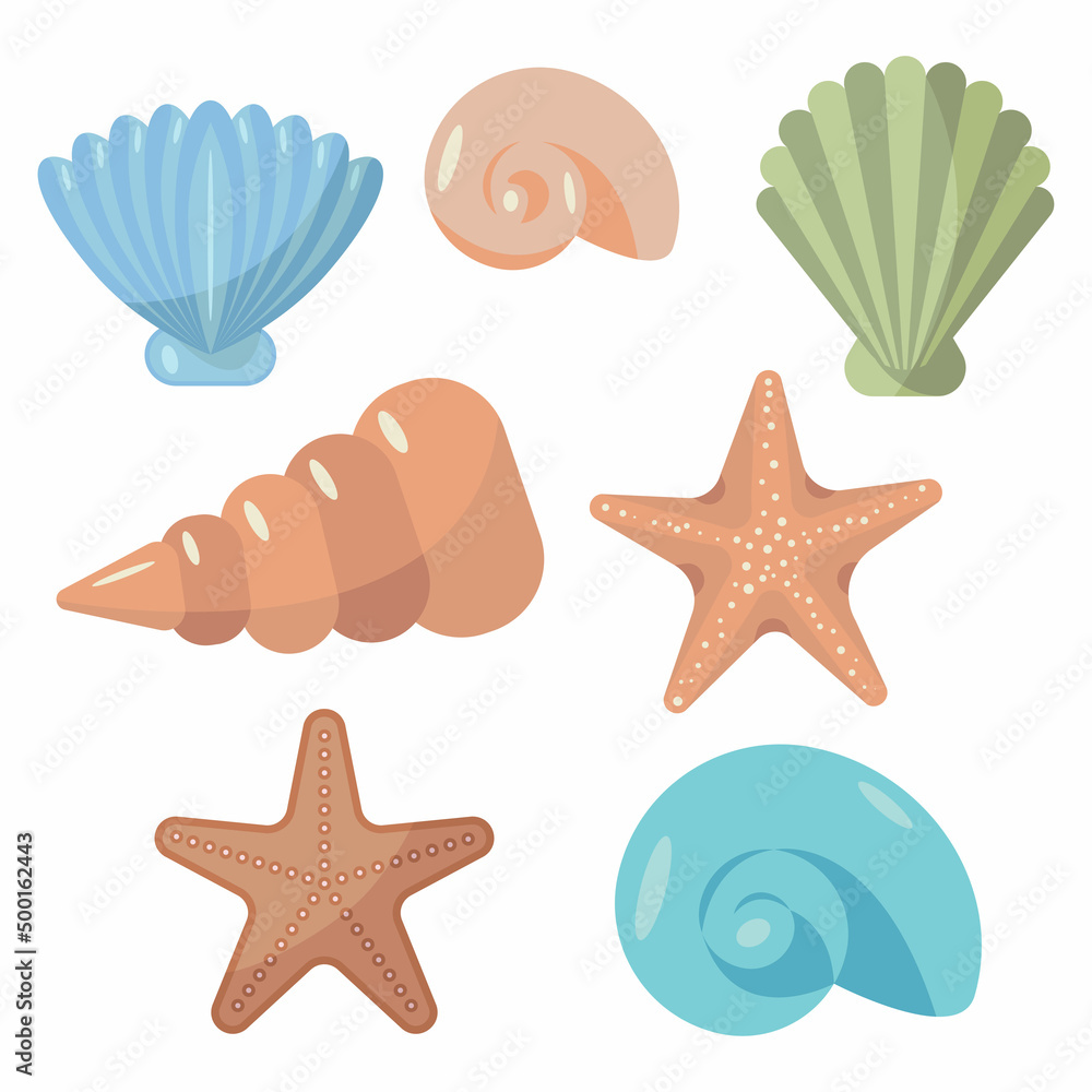 Set of seashells on a white background. vector illustration Set of seashells on a white background. vector illustration