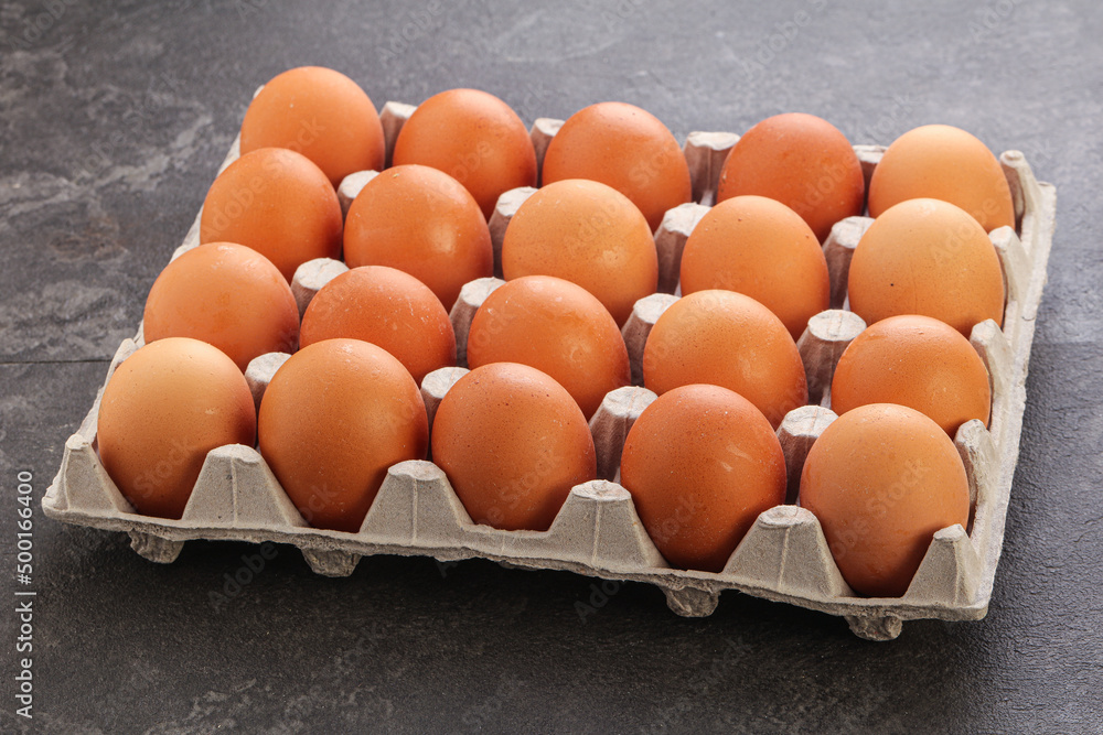 Organic chicken egg in the carton Organic chicken egg in the carton
