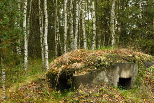 Soviet era concrete bunker concealed in a birch forest, Czech Republic