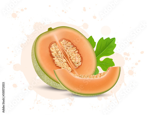 Half Piece of Muskmelon fruit vector illustration with muskmelon slice and green leave