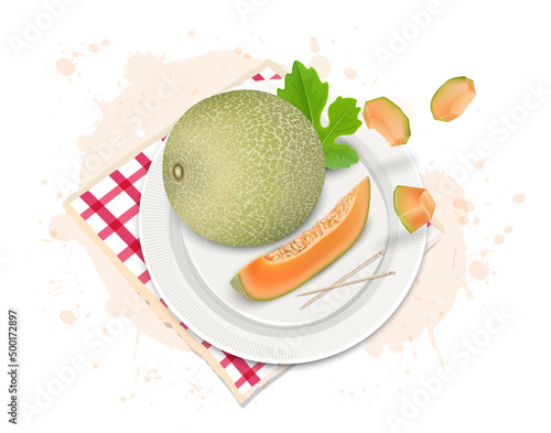 Muskmelon fruit vector illustration with muskmelon slices and pieces from top angle