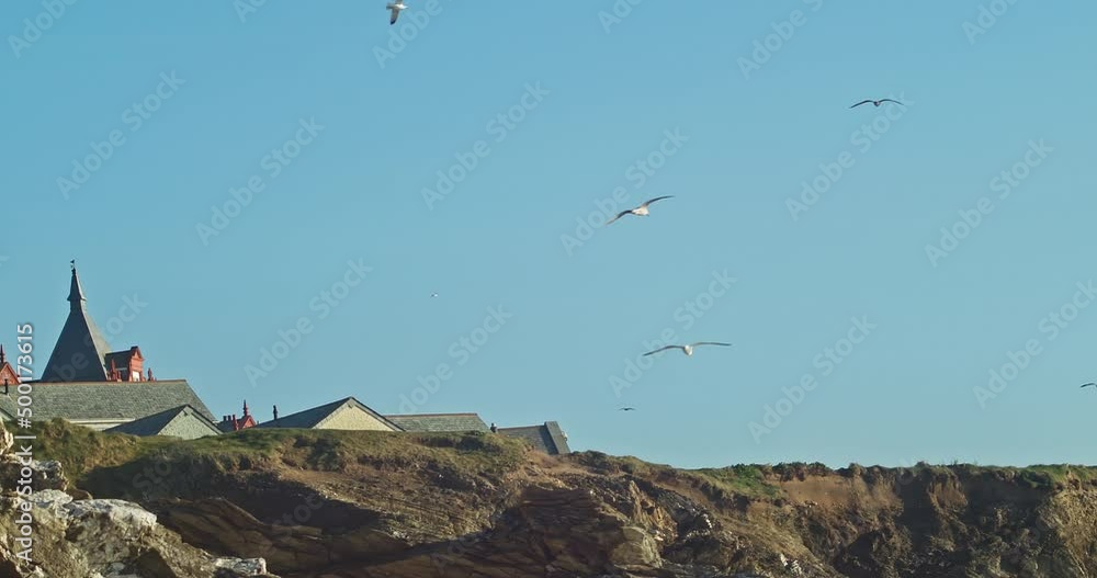 Seagulls Flying Over Rooftops and Clifftop of The Headland Hotel Cottages, Newquay, Cornwall - telephoto shot Seagulls Flying Over Rooftops and Clifftop of The Headland Hotel Cottages, Newquay, Cornwall - telephoto shot