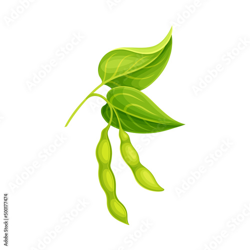 Soybean in Green Pod as Edible Seed of Legume Plant Vector Illustration