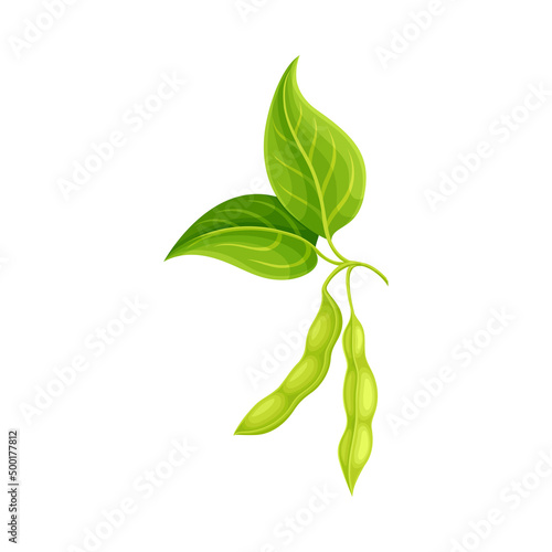 Soybean in Green Pod as Edible Seed of Legume Plant Vector Illustration