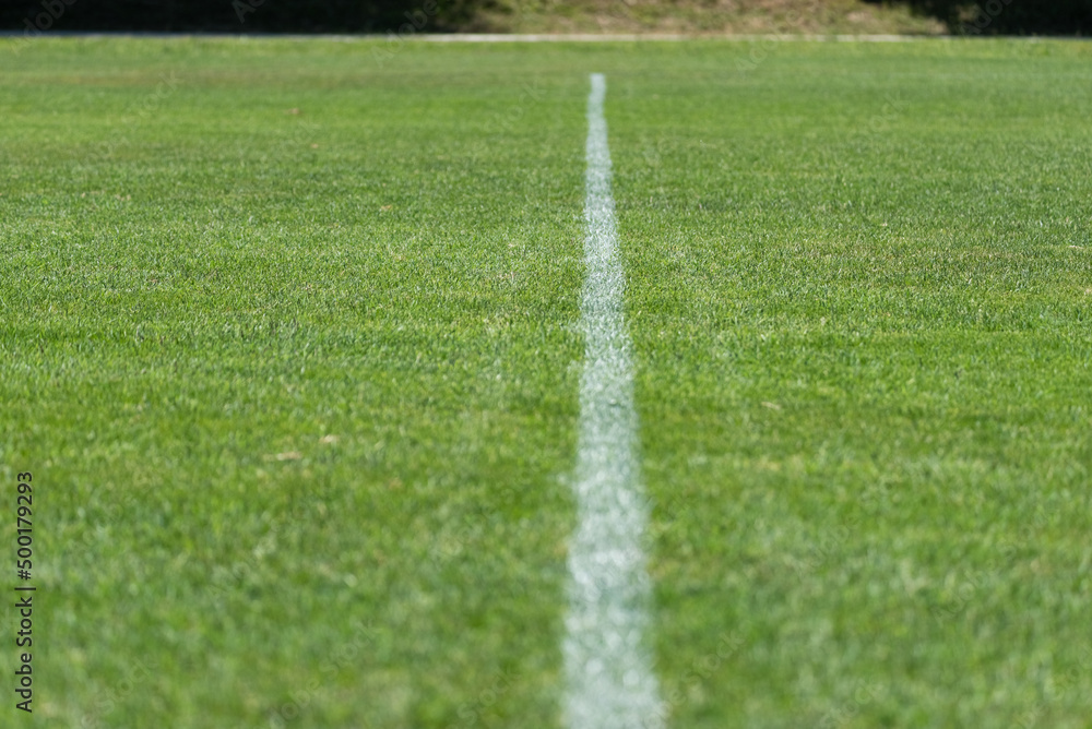 The white line on the green turf. A line on a grassy field.