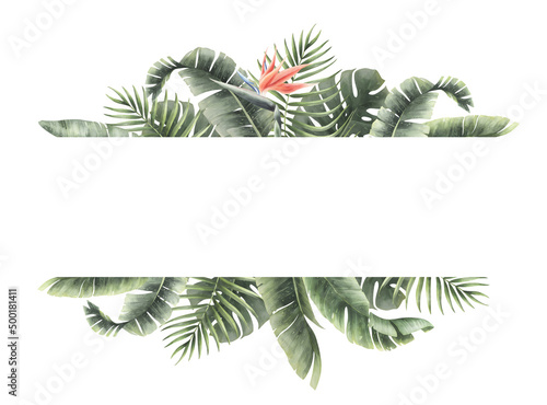 Tropical banner with watercolor monstera and palm leaves and paradise bird flower isolated on transparent background.