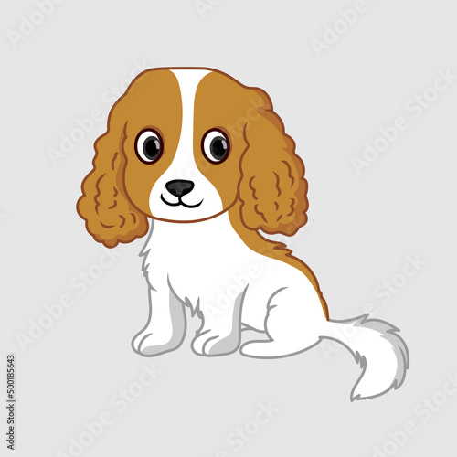 Cavalier King Charles Spaniel