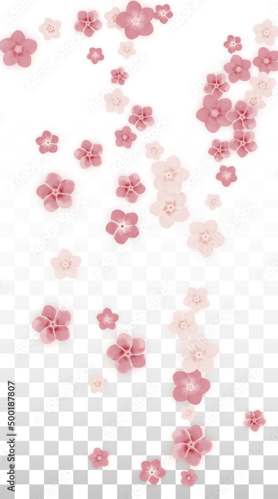 Vector Realistic Pink Flowers Falling on Transparent Background.  Spring Romantic Flowers Illustration. Flying Petals. Sakura Spa Design. Blossom Confetti. Design Elements for Wedding Decoration.