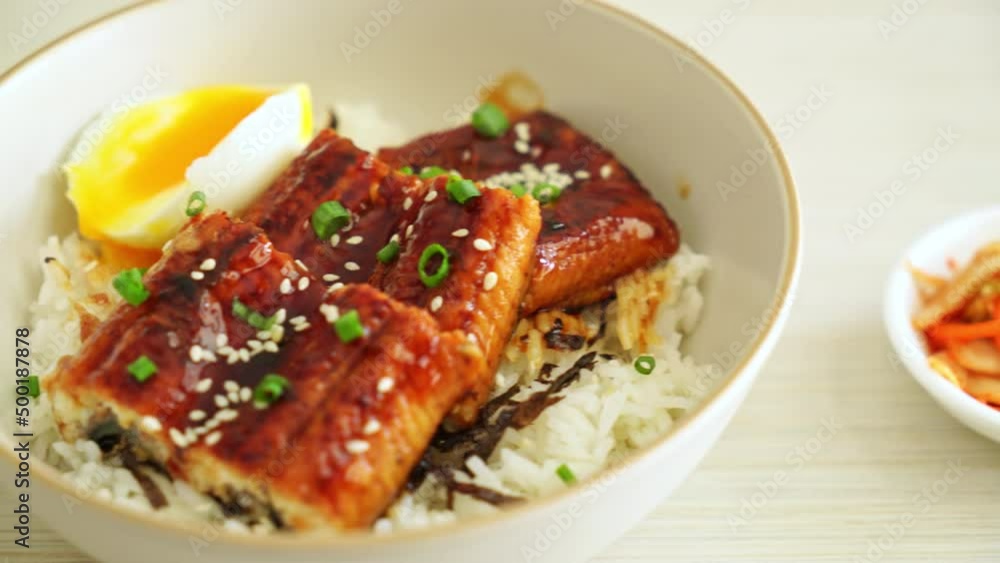 eel rice bowl or unagi rice bowl - Japanese food style eel rice bowl or unagi rice bowl - Japanese food style